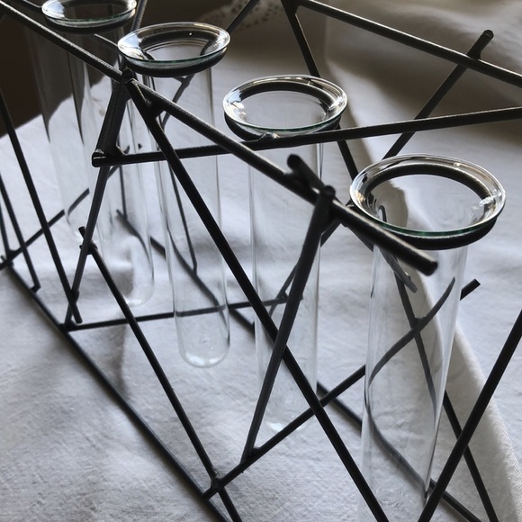 Test tube decor - flower vase - chemist - modern style decor - metal & glass - Picture 4 of 8